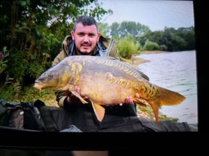 Mirror Carp