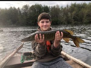 Northern Pike