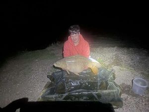 Mirror Carp
