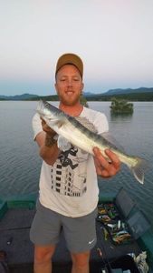 Zander