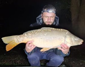 Mirror Carp