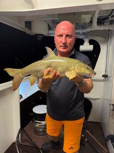 Barbel