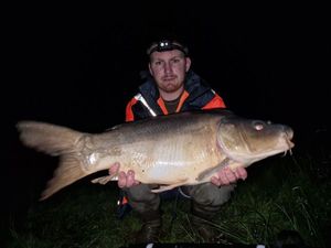 Mirror Carp