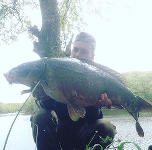 Mirror Carp