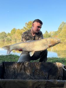 Grass Carp