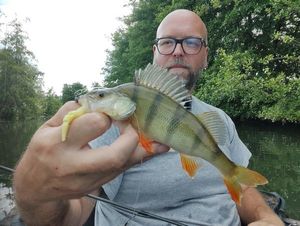 European Perch