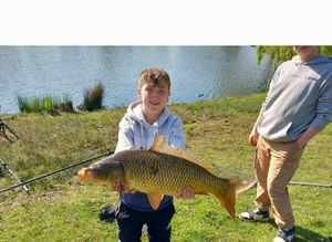 Common Carp