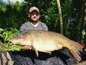 Common Carp
