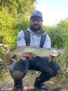 Northern Pike