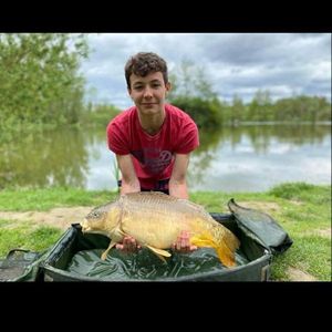 Mirror Carp