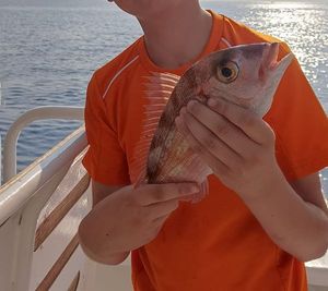 Axillary Seabream