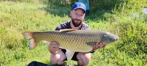 Grass Carp