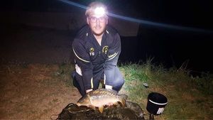 Mirror Carp