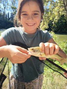 Largemouth Bass