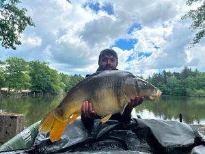 Mirror Carp