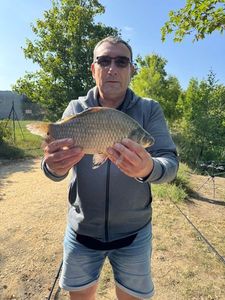 Crucian Carp