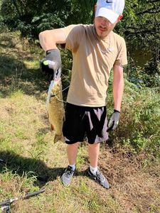 Chub