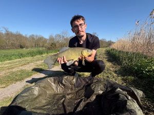 Tench