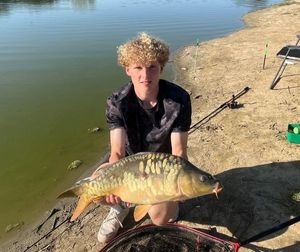 Mirror Carp