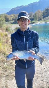 Rainbow Trout