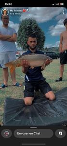 Mirror Carp