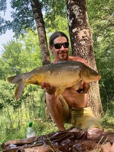 Mirror Carp
