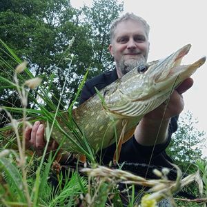 Northern Pike