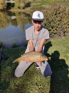 Common Carp