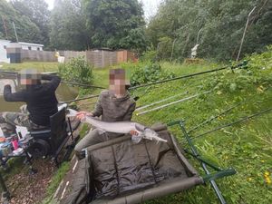 Sturgeon