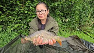 Common Carp