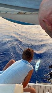Albacore