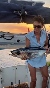 Albacore