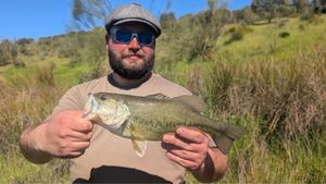 Largemouth Bass