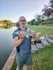 Barbel