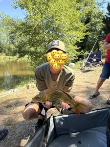 Common Carp