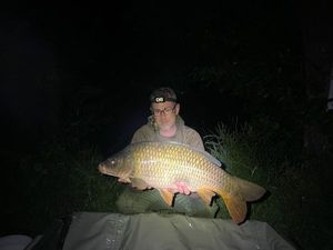 Common Carp