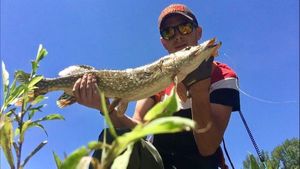 Northern Pike