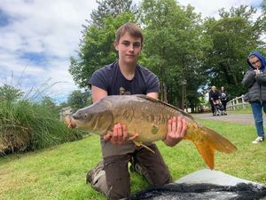 Mirror Carp