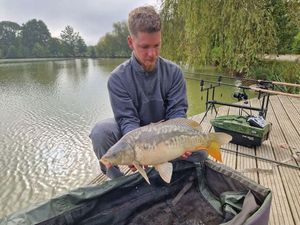 Mirror Carp