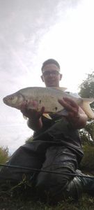 Common Bream