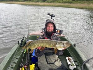 Northern Pike