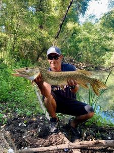 Northern Pike