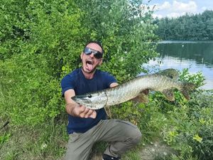 Northern Pike
