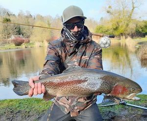 Rainbow Trout