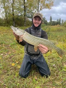 Chain Pickerel