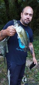 Largemouth Bass