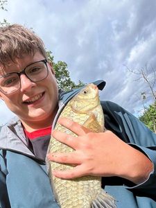 Prussian Carp