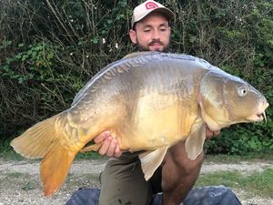 Mirror Carp