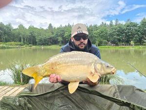 Mirror Carp