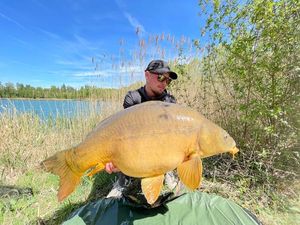 Mirror Carp